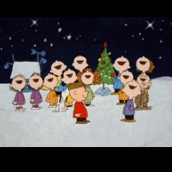 Peanuts Charlie Brown Kneeling With Tree Hallmark Ornament - Picture 15 of 16